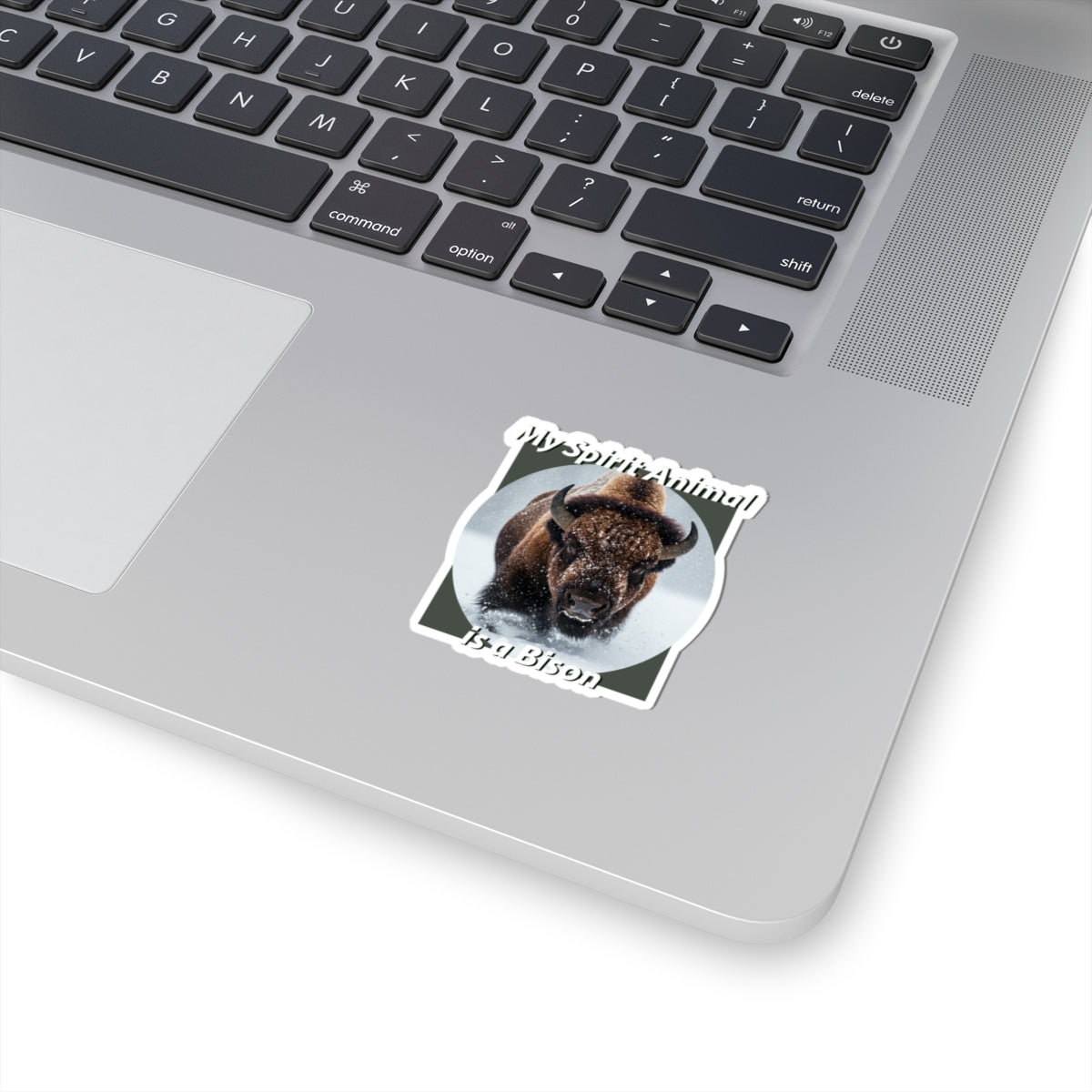 Bison Spirit Animal Stickers - Perfect for Nature Lovers - Native American Gift - Buffalo Lovers - Schmartypants
