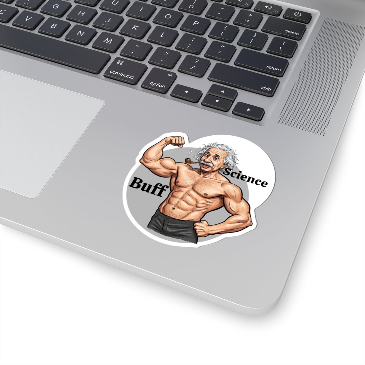 Science Buff Kiss-Cut Stickers - Funny Nerdy Decor for Science, Physics, Einstein Lovers - Schmartypants