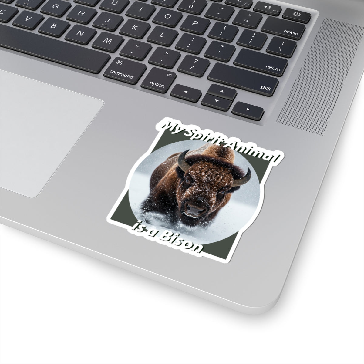Bison Spirit Animal Stickers - Perfect for Nature Lovers - Native American Gift - Buffalo Lovers - Schmartypants
