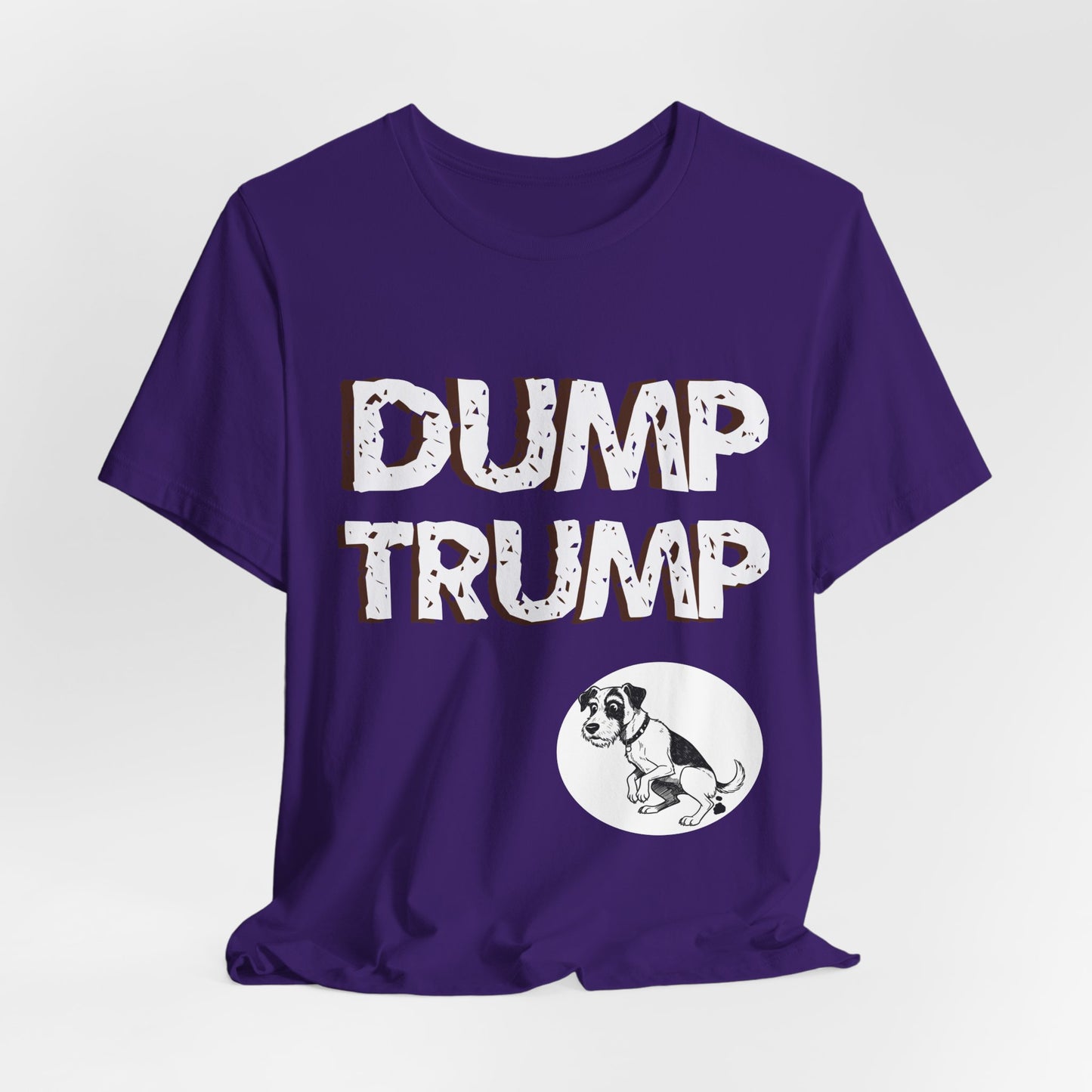 Funny Protest Unisex Jersey Tee - "Dump Trump" Graphic - Activist Wear - Schmartypants