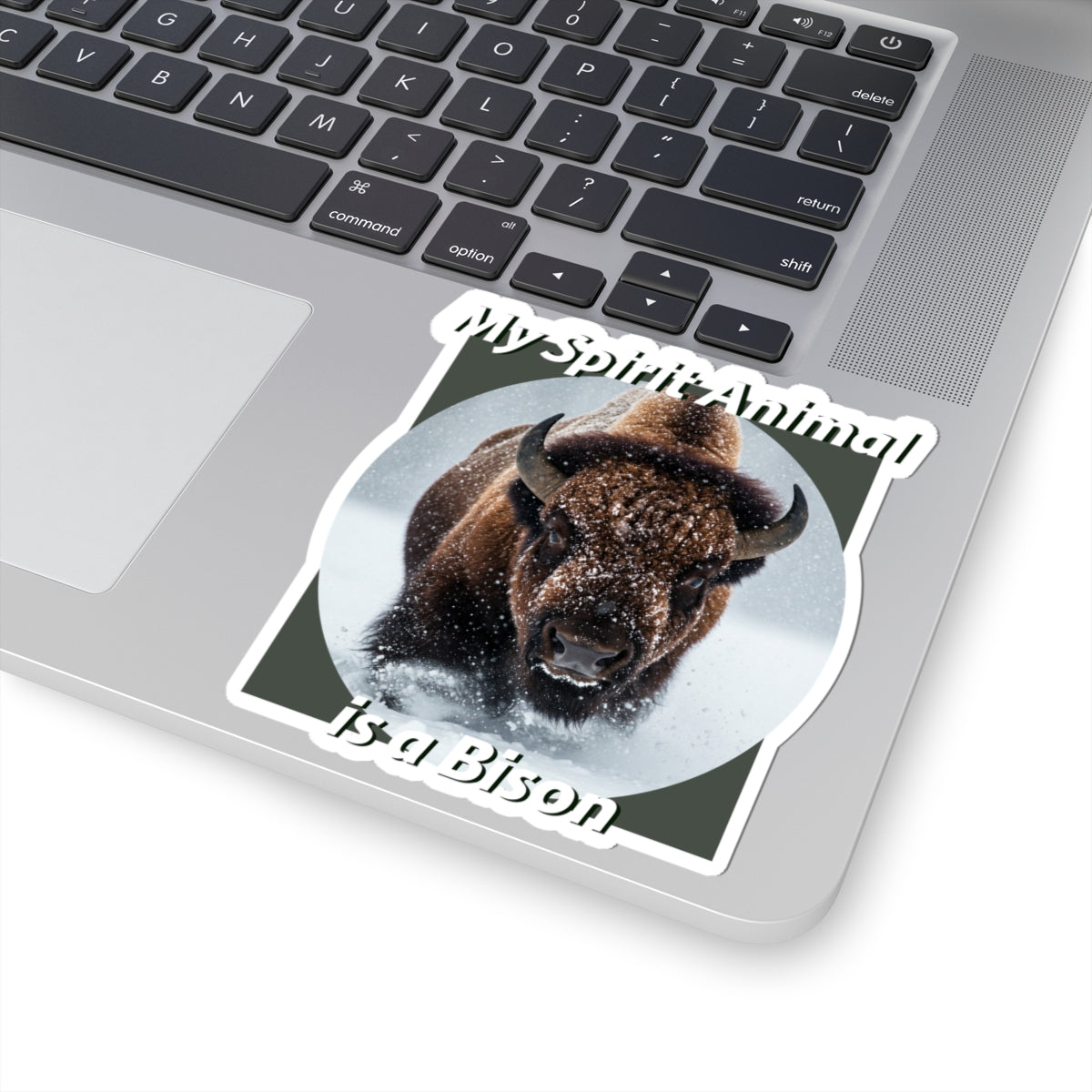 Bison Spirit Animal Stickers - Perfect for Nature Lovers - Native American Gift - Buffalo Lovers - Schmartypants