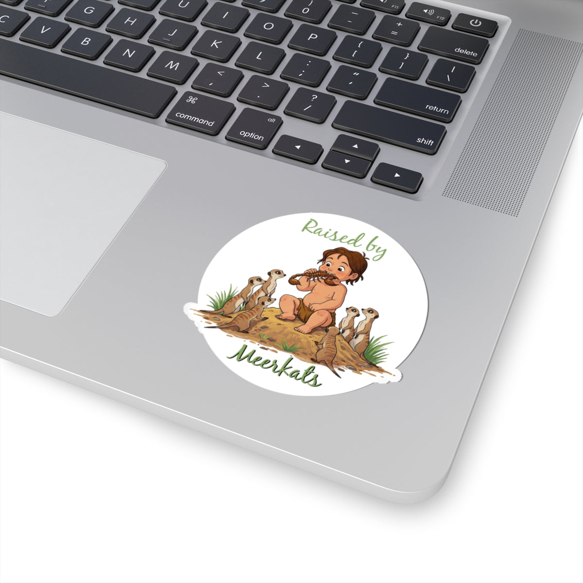 Funny 'Raised by Meerkats' Stickers for Kids - Fun Animal Décor - Schmartypants