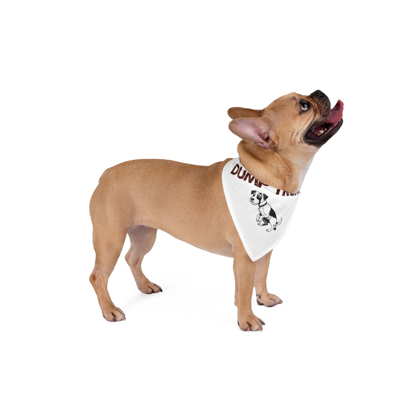 Funny Pet Bandana for Dog Lovers, Trendy Dog Accessory, Political Statement Dog Wear, Gift for Pet Owners, Dog Costume - Schmartypants